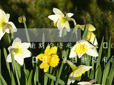 逾期的信用卡能否養(yǎng)卡？申請新信用卡受逾期影響嗎？